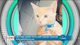 Keeping Pets and Families Together // Colorado Pet Pantry