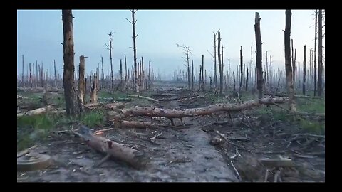 Serebryansky Forest, in eastern Ukraine, attacked by Russia since February 2022