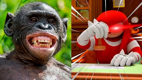 Knuckles' SHOCKING Take on Animals - You WON'T BELIEVE What He Says! | Knucles Rates Animals