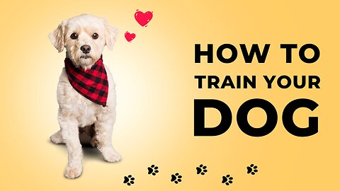 How to train a dog