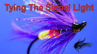 Tying The Signal Light