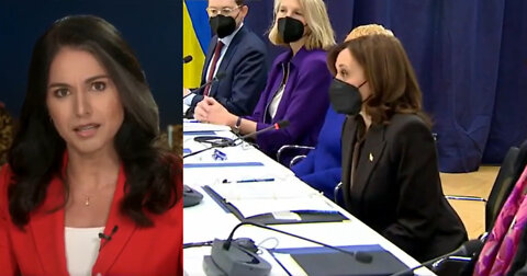 Tulsi Gabbard Slams Kamala Harris for Her Remarks During International Trip: ‘This is Embarrassing’