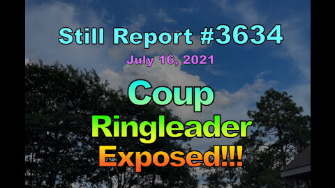 Coup Ringleader Exposed, 3634
