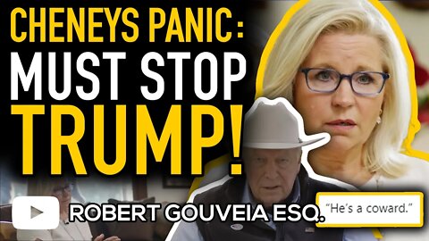 LIZ and DICK Cheney PANIC over TRUMP in RIDICULOUS Campaign Ad