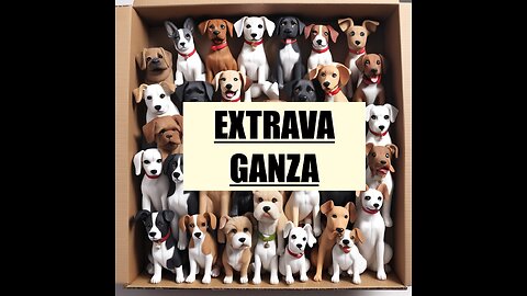 BoxOfDogs#42 - The Meaning of EXTRAVAGANZA