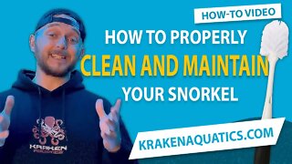 Do This To Properly Clean and Maintain Your Snorkel