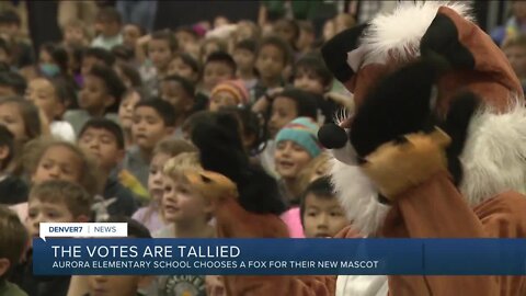 Arrowhead Elementary School in Aurora debuts new mascot