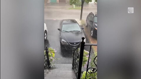 Flowers and cars aren't happy to be pelted with hail