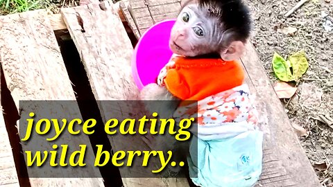 Joyce eating wild berry home