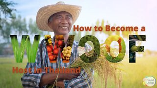 How to Become a WWOOF Host in Thailand #WWOOFThailand