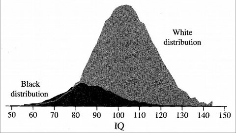 Race & IQ Debate Prep w/ Emil Kirkegaard