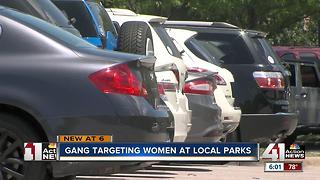 Felony Lane Gang targeting women at local parks