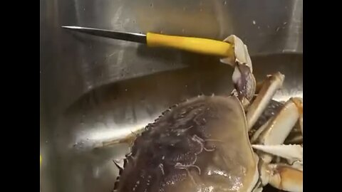 Crab Holds Knife