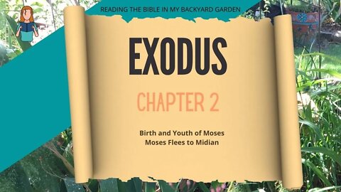 Exodus Chapter 2 | NRSV Bible Reading