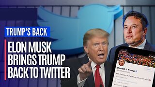 Elon Musk Say Trump’s ComeBack On Twitter