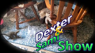 Dexter & Sami Show #1