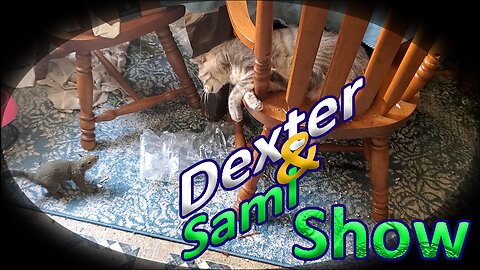 Dexter & Sami Show #1