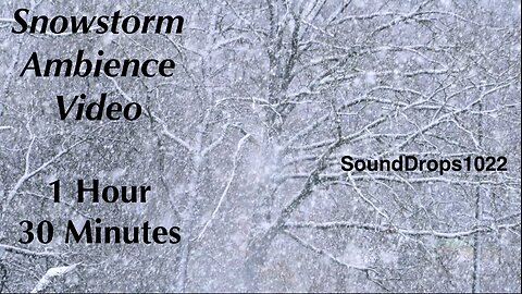 1 Hour 30 Minutes Of Winter Magic: Snow Ambience