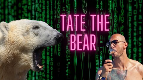 Story about Andrew Tate the bear