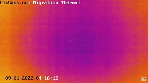 Fall Migration 2022 Thermal Camera - 9/1/2022 @ 4:14 - Weird Flight Path