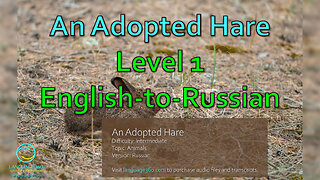 An Adopted Hare: Level 1 - English-to-Russian