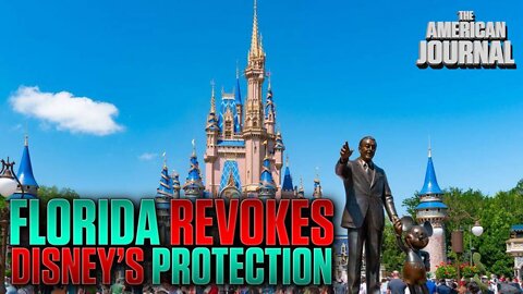 Florida Strips Disney Of Legal Privileges, Neocons Cry Foul
