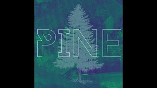 pine | out | janhusinec