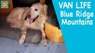 VANLIFE BLUE RIDGE MOUNTAINS | EP 8 Searching for WATERFALLS in Our RAM ProMaster 136 Short-Body Van
