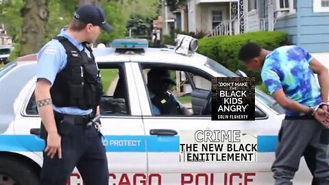 Colin Flaherty: Black Crime is Legal in Chicago Crime the New Black Entitlement