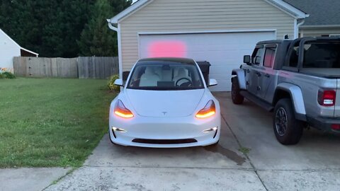 TESLA LIGHT SHOW!! - First day with my Model 3! - Family LOVES the Light Show! - Carol of the Bells!