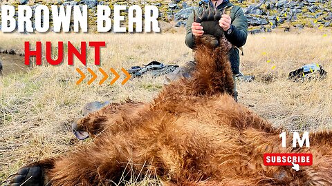 Giant 10 foot bear killed ￼