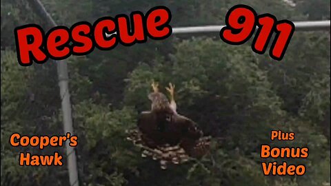 Rescue 911 Coopers Hawk " bonus video "