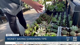 Money-saving gardening tips