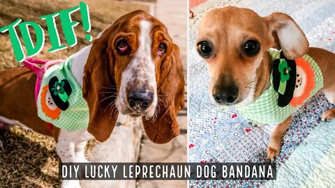 TDIF! Lucky Leprechaun Dog Bandana