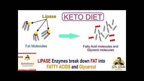 Keto High Fat Diet Solutions