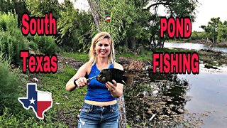 SURPRISE CATCH at local pond in South Texas / huge bass on a tiny rod / bluegill fishing