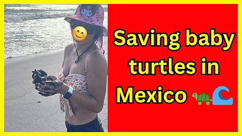 Saving baby sea turtles on a secluded beach in Mexico 🐢🌊🏝️