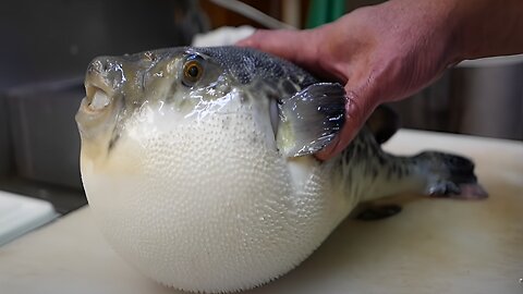 0:04 / 15:02 Japanese Street Food - LIVE FUGU PUFFERFISH Puffer Fish Japan