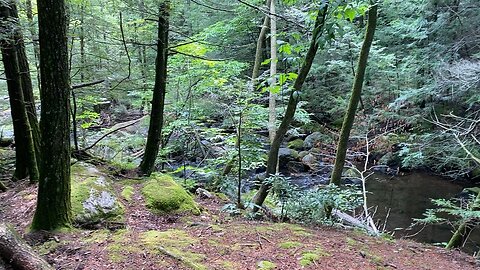 The Dam Site of the 1874 Mill River Disaster