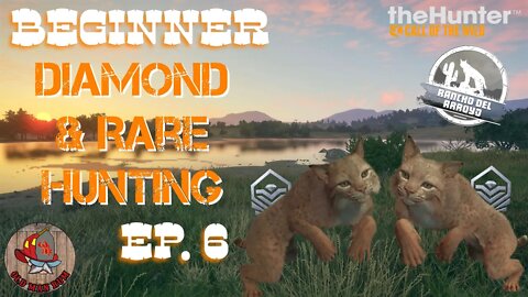 Beginner Diamond & Rare hunting Ep 6 theHunter Call of the Wild