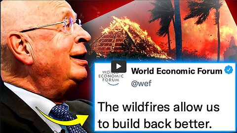 WEF Admits Maui Wildfires Orchestrated To Transform Hawaii Into 15' Cities