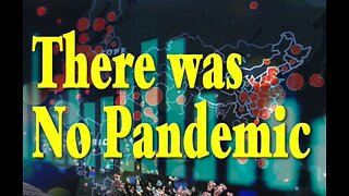 There was no Pandemic! A bold statement, yes, but first view the evidence, then judge.