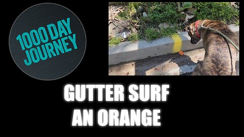 1000 Day Journey 0259 Gutter Surf an Orange