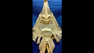 Jenny Hanivers