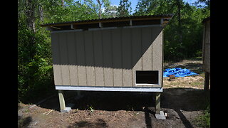 "Egg-citing Build: Our DIY Chicken House Is Every Chicken's Dream!"