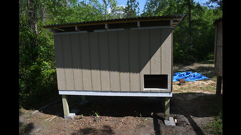 "Egg-citing Build: Our DIY Chicken House Is Every Chicken's Dream!"