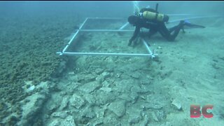 7,000-Year-Old Submerged Road Discovered Under The Mediterranean Sea