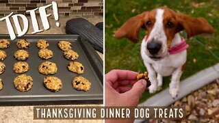 TDIF! Thanksgiving Dinner Dog Treats