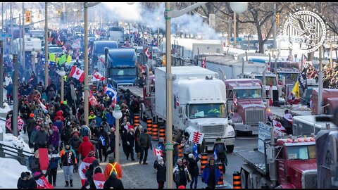 TPC #689: Canadian-USA Truckers double down and will not leave Canada, word from Dr. Alexander & organizers in Ottawa.
