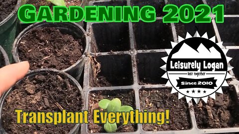 Garden 2021 : Transplant Everything!